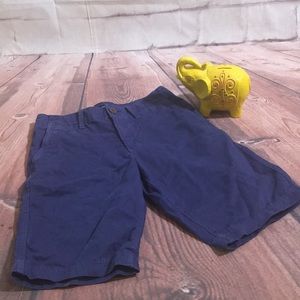 American Eagle Outfitters Longer Length Casual Shorts